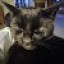 Avatar of EllieBella