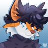 Avatar of FynnTheFox