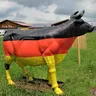 Avatar of gymgaes