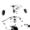 Avatar of Sea Leopard Reskins