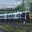 Avatar of SouthWestern
