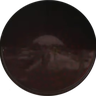 Avatar of WTenjoyer